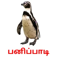 பனிப்பாடி Bildkarteikarten