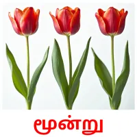 மூன்று карточки энциклопедических знаний