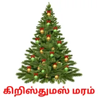 கிறிஸ்துமஸ் மரம் Bildkarteikarten