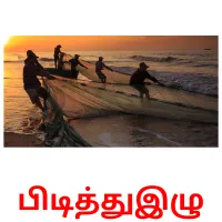 பிடித்துஇழு Bildkarteikarten