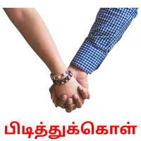 பிடித்துக்கொள் Bildkarteikarten