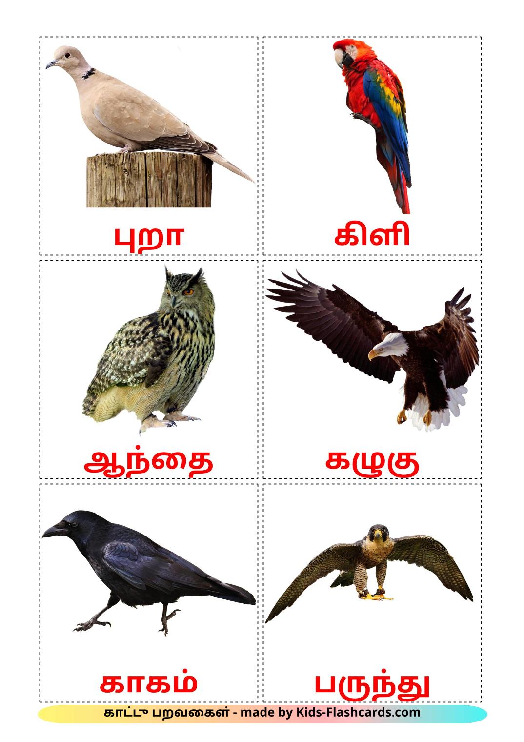 Дикие птицы - 18 Карточек Домана на тамильском