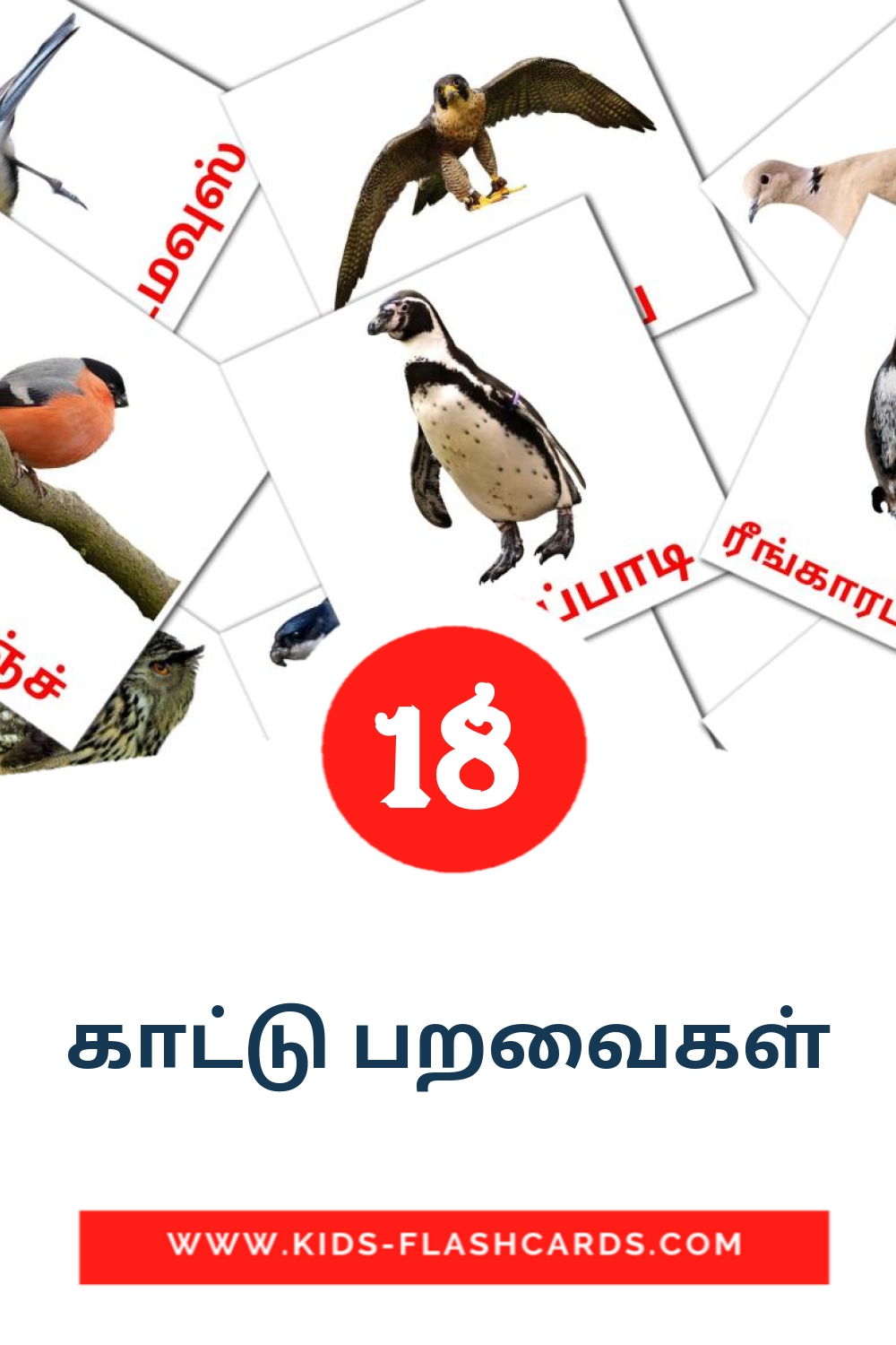 18 cartes illustrées de காட்டு பறவைகள் pour la maternelle en tamil