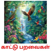 காட்டு பறவைகள் Bildkarteikarten