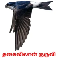 தகைவிலான் குருவி Bildkarteikarten