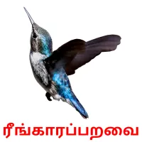 ரீங்காரப்பறவை Bildkarteikarten