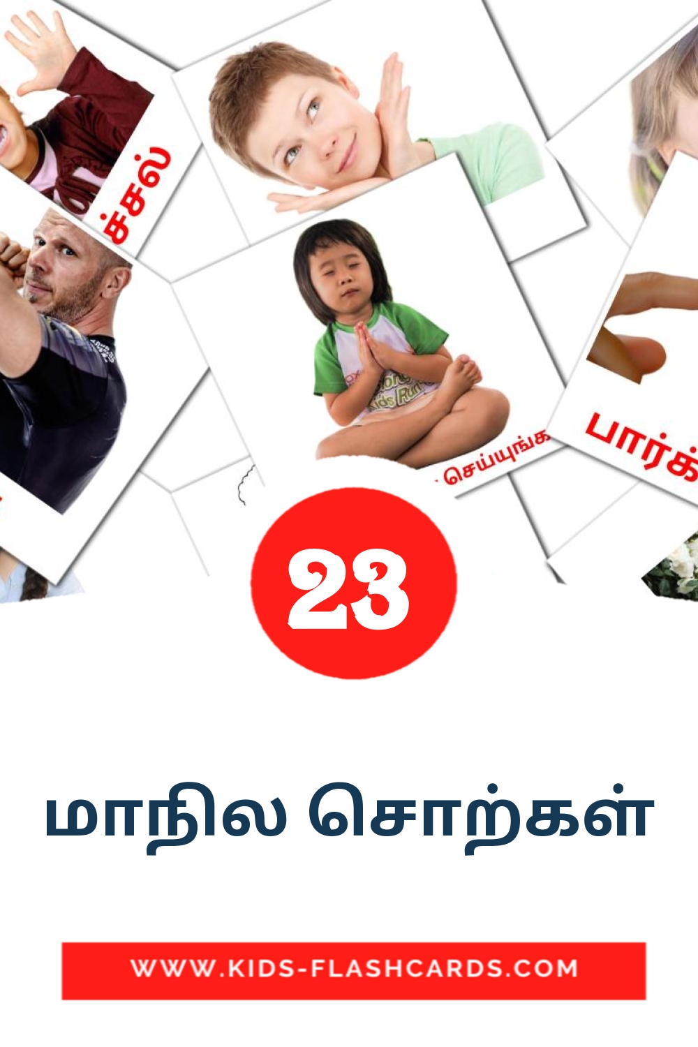 23 cartes illustrées de மாநில சொற்கள் pour la maternelle en tamil