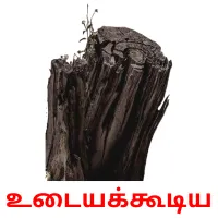 உடையக்கூடிய Bildkarteikarten