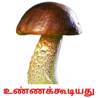 உண்ணக்கூடியது Bildkarteikarten