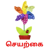 செயற்கை Bildkarteikarten