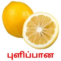 புளிப்பான Bildkarteikarten