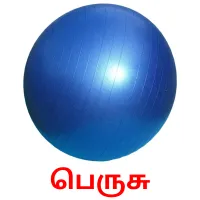 பெருசு Bildkarteikarten