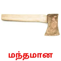 மந்தமான Bildkarteikarten