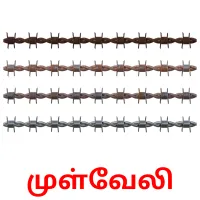 முள்வேலி Bildkarteikarten