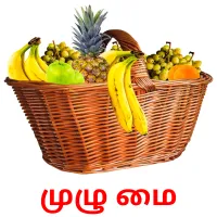 முழு மை Bildkarteikarten