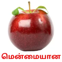 மென்மையான Bildkarteikarten