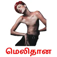 மெலிதான Bildkarteikarten