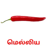 மெல்லிய Bildkarteikarten