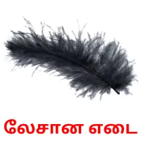 லேசான எடை Bildkarteikarten