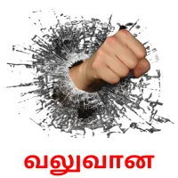 வலுவான Bildkarteikarten