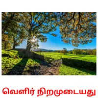 வெளிர் நிறமுடையது Bildkarteikarten