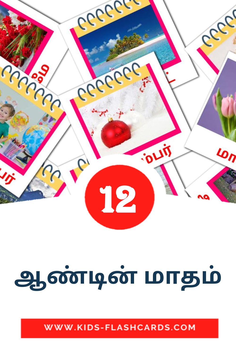 12 ஆண்டின் மாதம் Picture Cards for Kindergarden in tamil