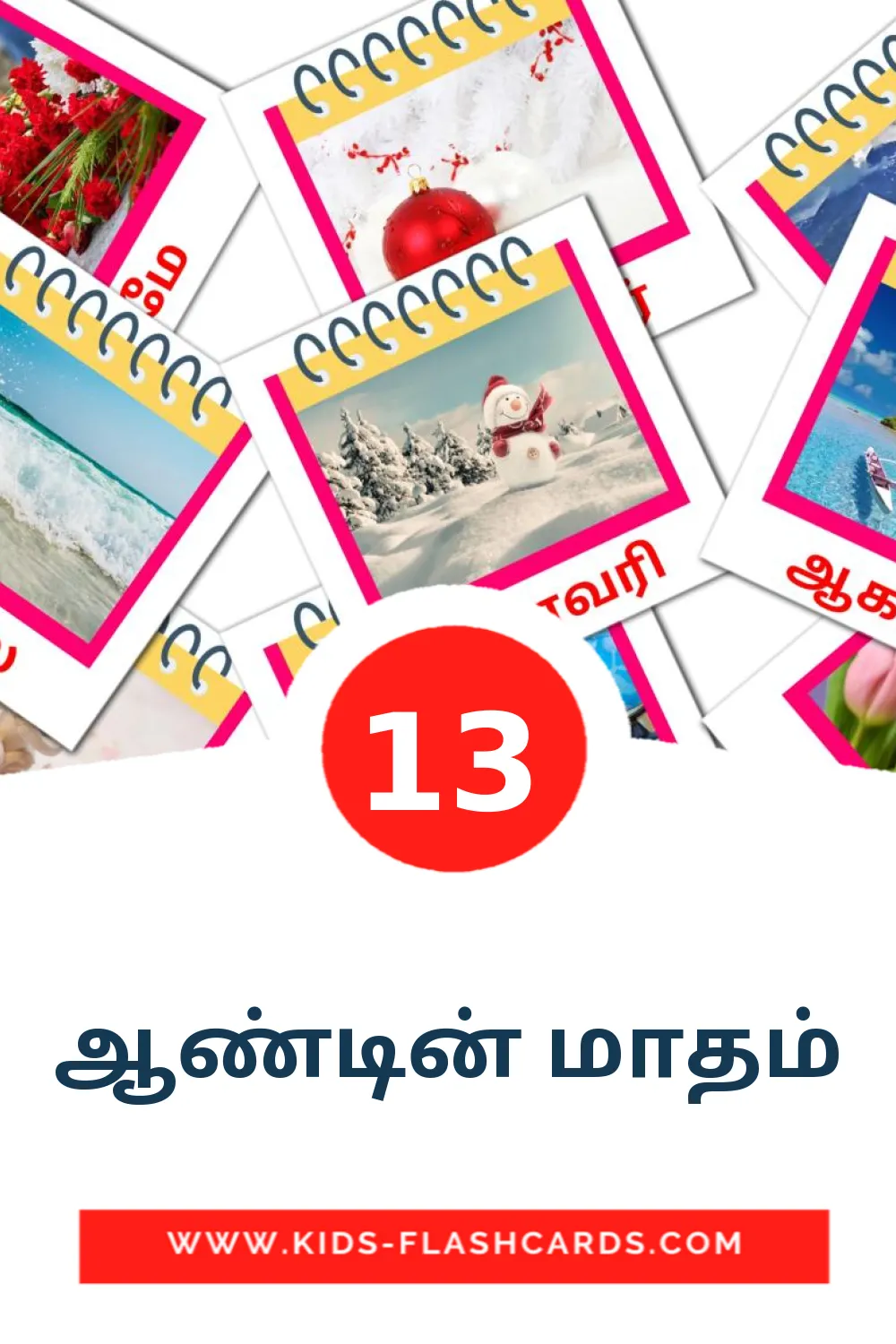 13 ஆண்டின் மாதம் Picture Cards for Kindergarden in tamil