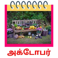 அக்டோபர் picture flashcards