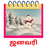 ஜனவரி picture flashcards