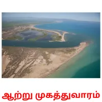 ஆற்று முகத்துவாரம் карточки энциклопедических знаний