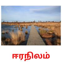ஈரநிலம் cartões com imagens