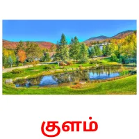 குளம் карточки энциклопедических знаний