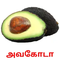 அவகோடா flashcards illustrate