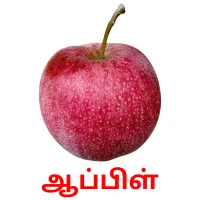 ஆப்பிள் Bildkarteikarten