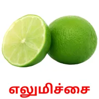 எலுமிச்சை flashcards illustrate