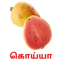 கொய்யா picture flashcards