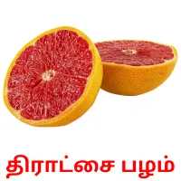 திராட்சை பழம் picture flashcards