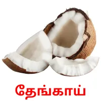 தேங்காய் flashcards illustrate