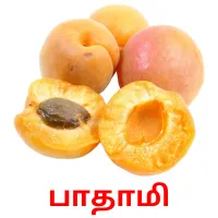 பாதாமி ansichtkaarten