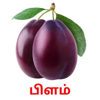 பிளம் picture flashcards