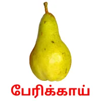 பேரிக்காய் Bildkarteikarten