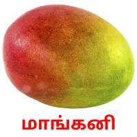 மாங்கனி Bildkarteikarten