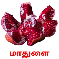 மாதுளை ansichtkaarten