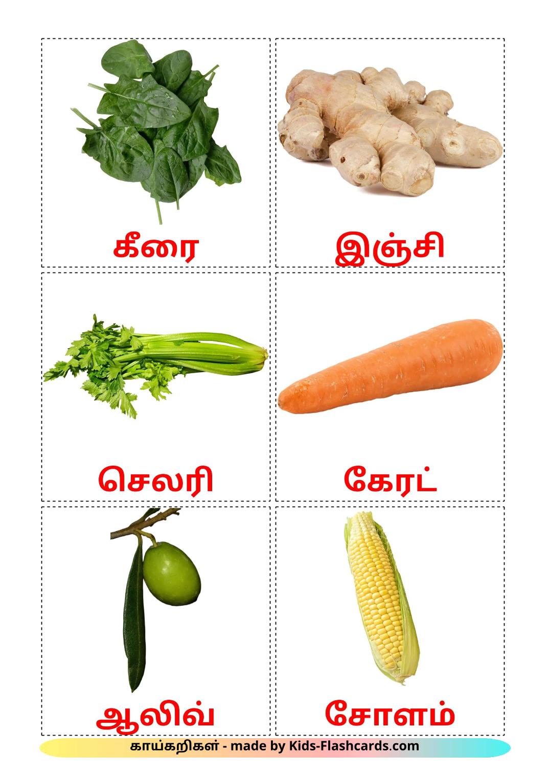 Vegetables - 30 Free Printable tamil Flashcards 