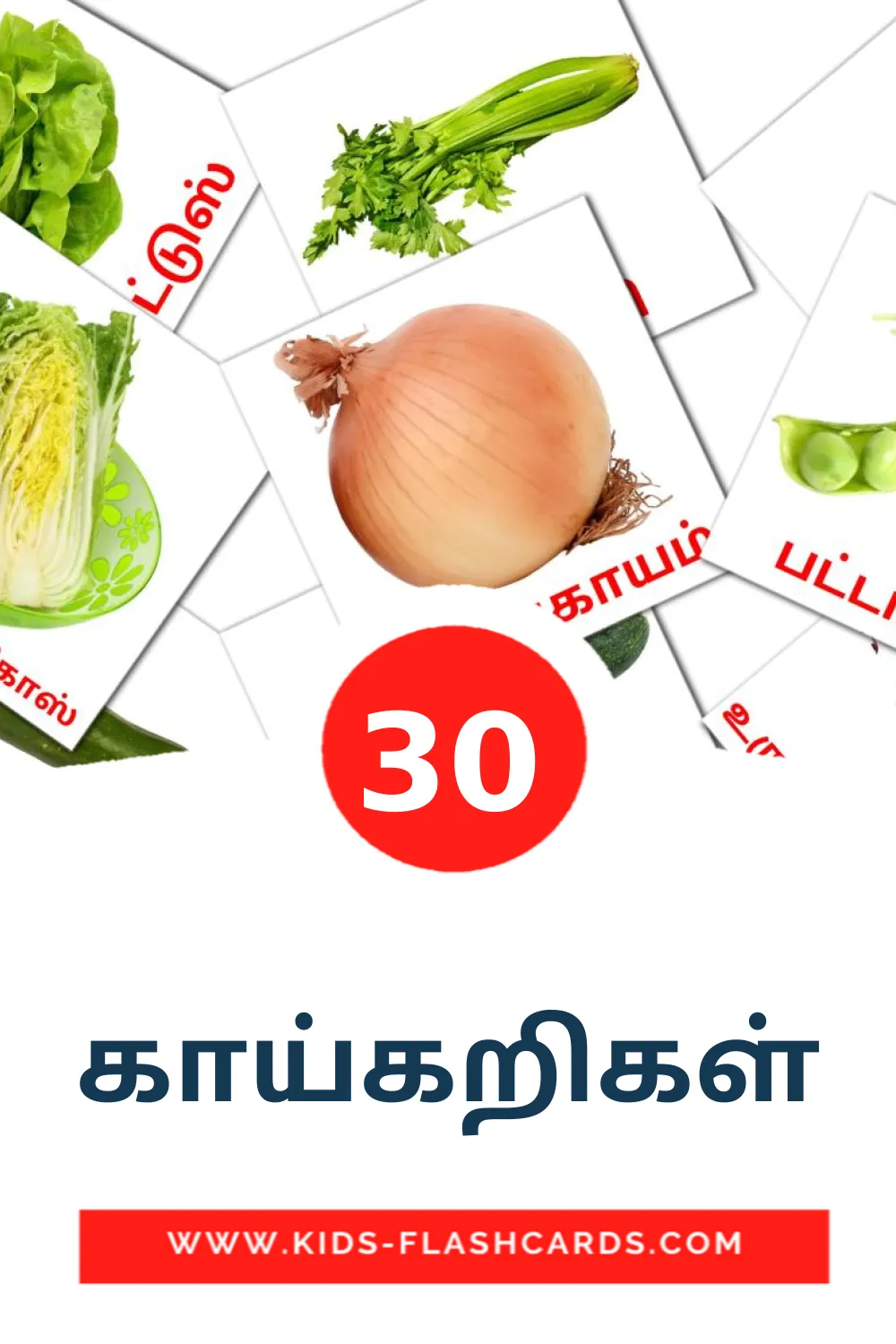 30 காய்கறிகள் Picture Cards for Kindergarden in tamil