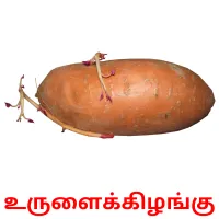 உருளைக்கிழங்கு picture flashcards