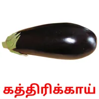 கத்திரிக்காய் picture flashcards