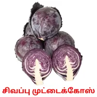 சிவப்பு முட்டைக்கோஸ் picture flashcards