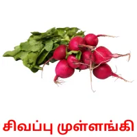 சிவப்பு முள்ளங்கி picture flashcards