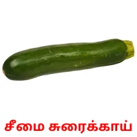 சீமை சுரைக்காய் flashcards illustrate